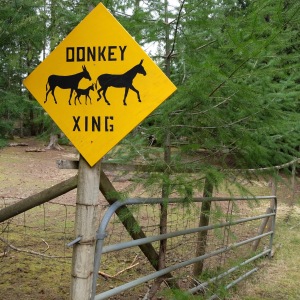donkey crossing sign at Cynthia Minden Arts and Equine Denman Island BC
