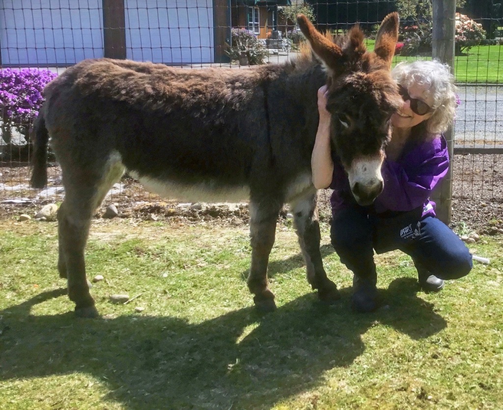 Cynthia Minden with Summer the donkey at The Ranch