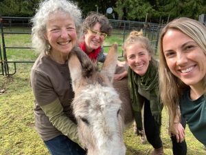 Cynthia Minden, Alison Fox, Be Balm and Allisyn Wodham with Rose the donkey, expressive arts, donkey therapy
